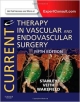 Current Therapy In Vascular And Endovascular Surgery 5Ed (Hb 2014)