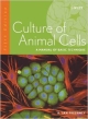 Culture Of Animal Cells: A Manual Of Basic Technique, Fifth Edition