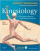 Kinesiology: The Skeletal System And Muscle Function, 2E (Pb 2011)
