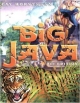 Big Java, 2E