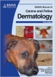 Bsava Manual Of Canine And Feline Dermatology 3Ed (Pb 2012)