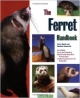 The Ferret Handbook (Pb)