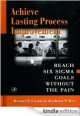 Achieve Lasting Process Improvement:Reach Six Sigma Goals Without The Pain