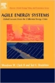 Agile Energy Systems: Global Lessons From The California Energy Crisis (Hb 2004)