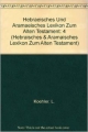 Hebraisches Und Aramaisches Lexikon Zum Alten Testament, Volume 4