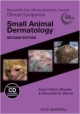 Small Animal Dermatology 2Ed: Blackwell`s Five-Minute Consult Clinical Copanion (Pb 2011)