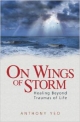 On Wings Of Storm  Hedling Beyond Traumas Of Life