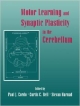 Motor Learning And Synaptic Plasticity In The Cerebellum
