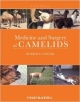 Medicine And Surgery Of South American Camelids And Camels (Hb 2010)