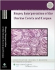 Biopsy Interpretation Series: Biopsy Interpretation Of The Uterine Cervix & Corpus (Hb 2010)