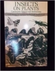 Insects On Plants: Community Patterns And Mechanisms
