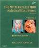 The Netter Collection Of Medical Illustrations 2Ed Vol.2: The Endocrine System (Hb)