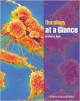 Oncology At A Glance (Pb 2013)