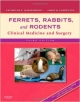 Ferrets, Rabbits, And Rodents 3Ed: Clinical Medicine And Surgery (Pb 2012 )