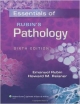 Essentials Of Rubin`s Pathology 6Ed (Pb 2013)