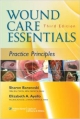 Wound Care Essentials 3Ed: Practice Principles (Pb 2012)
