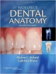 Woelfel`s Dental Anatomy 8Ed (Pb 2012)