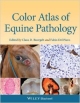 Color Atlas Of Equine Pathology (Hb 2013)