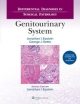 Differential Diagnoses In Surgical Pathology: Genitourinary System (Hb 2014)