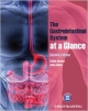 The Gastrointestinal System At A Glance