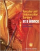 Vascular And Endovascular Surgery At A Glance (Pb 2014)