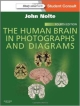 The Human Brain In Photographs And Diagrams 4Ed (Pb 2013)