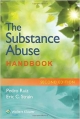 The Substance Abuse Handbook 2Ed (Pb 2014)