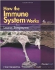 How To Immune System Works 4Ed (Pb 2012)