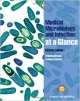 Medical Microbiology & Infection 4Ed: At A Glance (Pb)