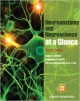 Neuroanatomy & Neuroscience 4Ed: At A Glance (Pb)