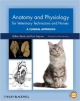 Anatomy & Physiology For Veterinary Technicians & Nurses: A Clinical Approach (Pb 2012)