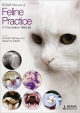 Bsava Manual Of Feline Practice: A Foundation Manual (Pb 2013)