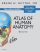 Atlas Of Human Anatomy Ie  6th Edition (Pb 2014)