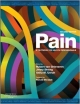Pain: A Textbook For Health Professionals 2Ed (Pb 2014)