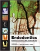 Endodontics, 4Ed (Hb 2014)