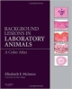 Background Lesions In Laboratory Animals: A Color Atlas (Hb 2012)