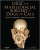 Oral & Maxillofacial Surgery In Dogs & Cats (Hb 2012)