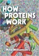 How Proteins Work