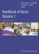 Handbook Of Burns Volume 1: Acute Burn Care (Hb)