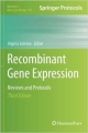 Recombinant Gene Expression 3Ed (Hb 2012)