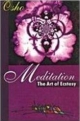 Meditation The Art Of Ecstasy 
