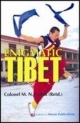 Enigmatic Tibet