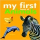 My First Book Of Animal