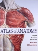 Atlas Of Anatomy 