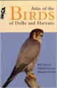 Atlas Of The Birds Of Delhi And Haryana