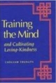 Training The Mind