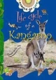 Life Cycle of a Kangaroo