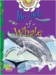 Life Cycle of a Whale