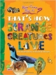 How Come? How So? That`s How Starnge Creatures Live