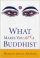 What makes you not a buddhist 